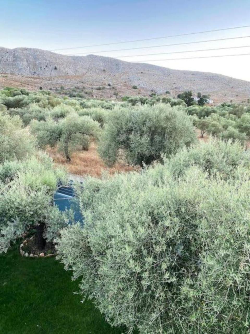 Olives Villa Sinoikismos Kambos Eksteriør bilde